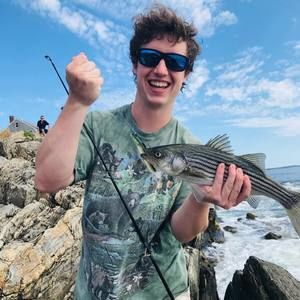 Meet your Posher, Ross